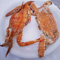 фото из отзыва ID 1979930