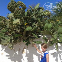 фото из отзыва ID 1975376