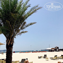 фото из отзыва ID 1972476