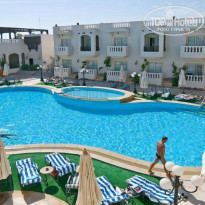 фото из отзыва ID 1976939