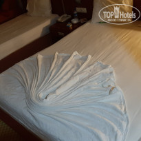 фото из отзыва ID 1977558