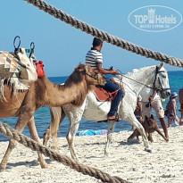 фото из отзыва ID 1973142