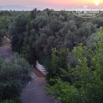 фото из отзыва ID 1973418