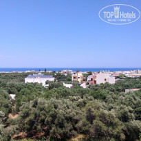 фото из отзыва ID 1973418