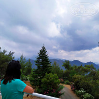 фото из отзыва ID 1973330