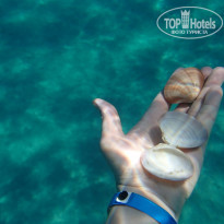 фото из отзыва ID 1975242