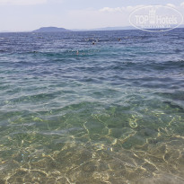 фото из отзыва ID 1975242