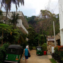 фото из отзыва ID 1970028