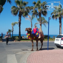 фото из отзыва ID 1972621