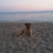 фото из отзыва ID 1972621