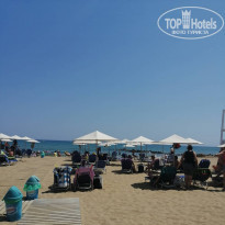 фото из отзыва ID 1975223