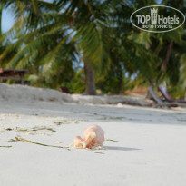 фото из отзыва ID 1972965