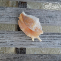 фото из отзыва ID 1972965