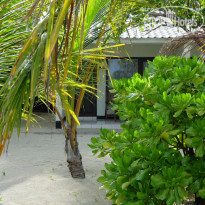 фото из отзыва ID 1972965