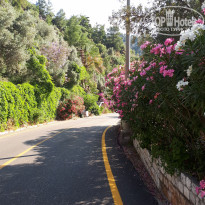 фото из отзыва ID 1979214