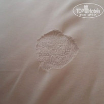 фото из отзыва ID 1980007