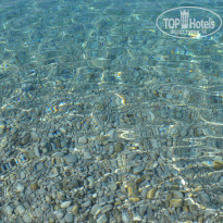 фото из отзыва ID 1980027