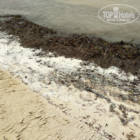 фото из отзыва ID 1980136