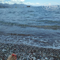 фото из отзыва ID 1980366