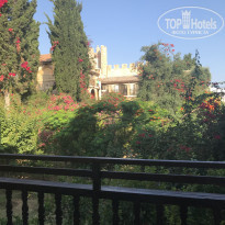 фото из отзыва ID 1980449