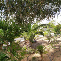 фото из отзыва ID 1980510