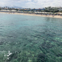 фото из отзыва ID 1980552