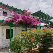 фото из отзыва ID 1980605