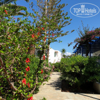 фото из отзыва ID 1980605