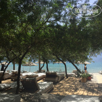 фото из отзыва ID 1980747