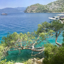 фото из отзыва ID 1980747