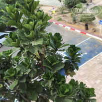 фото из отзыва ID 1980776