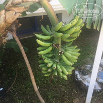 фото из отзыва ID 1980895