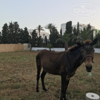 фото из отзыва ID 1980942