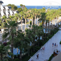 фото из отзыва ID 1980871