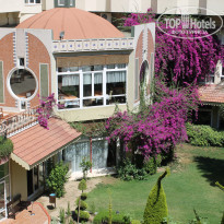 фото из отзыва ID 1981070