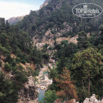 фото из отзыва ID 1981178