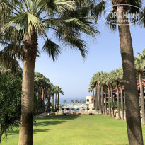 фото из отзыва ID 1980862