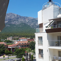 фото из отзыва ID 1981233