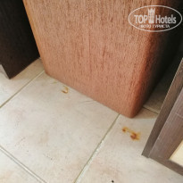 фото из отзыва ID 1981281