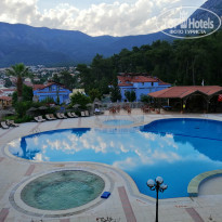 фото из отзыва ID 1981281