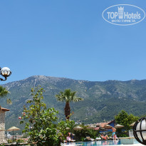 фото из отзыва ID 1981380