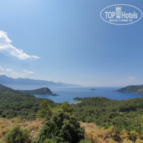 фото из отзыва ID 1981380