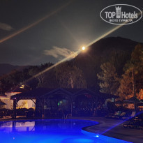 фото из отзыва ID 1981380