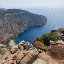 фото из отзыва ID 1981380