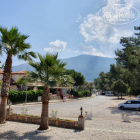 фото из отзыва ID 1981380