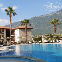 фото из отзыва ID 1981380