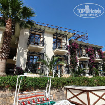 фото из отзыва ID 1981380