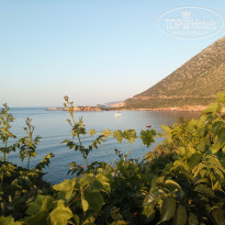 фото из отзыва ID 1981430