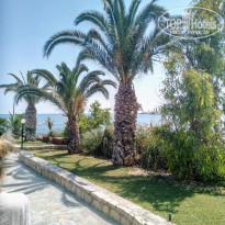 фото из отзыва ID 1981430