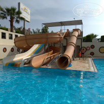 фото из отзыва ID 1981535